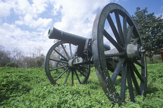 A Cannon Firing a Projectile